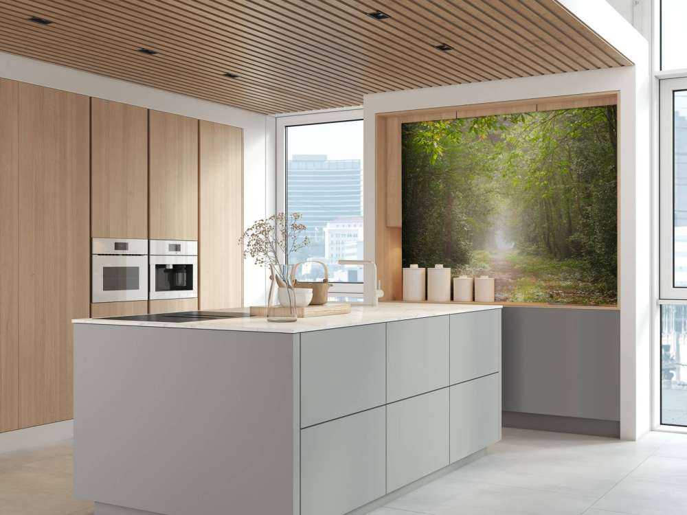 Sti gennem tåget skov