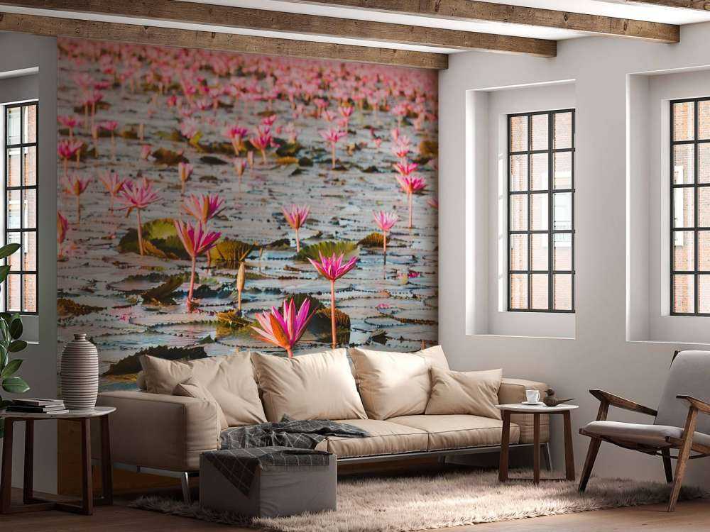 Hav af lotusblomster