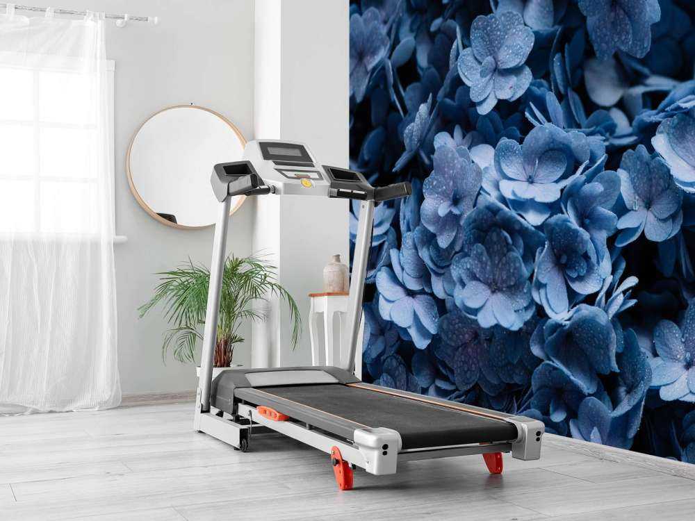 Nærbillede af hortensia