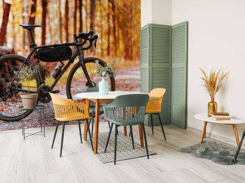 Cykel i efteråret