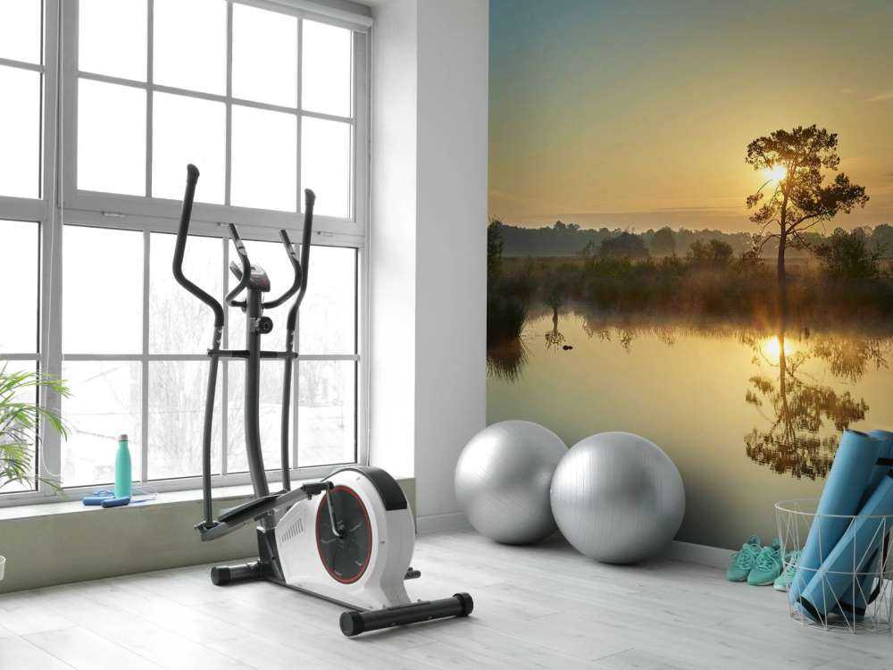 Solopgang ved bosven