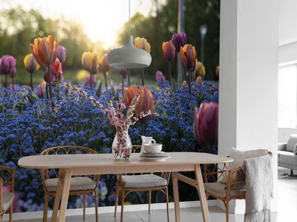 Munter tulipanfelt