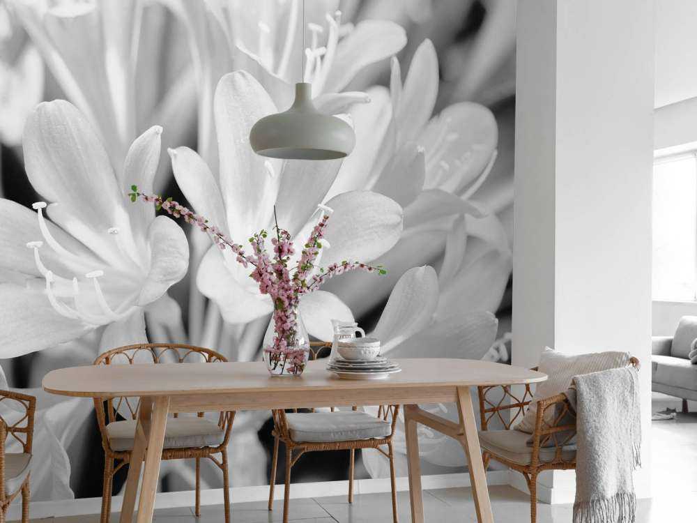 Blomster i blomst, sort og hvid