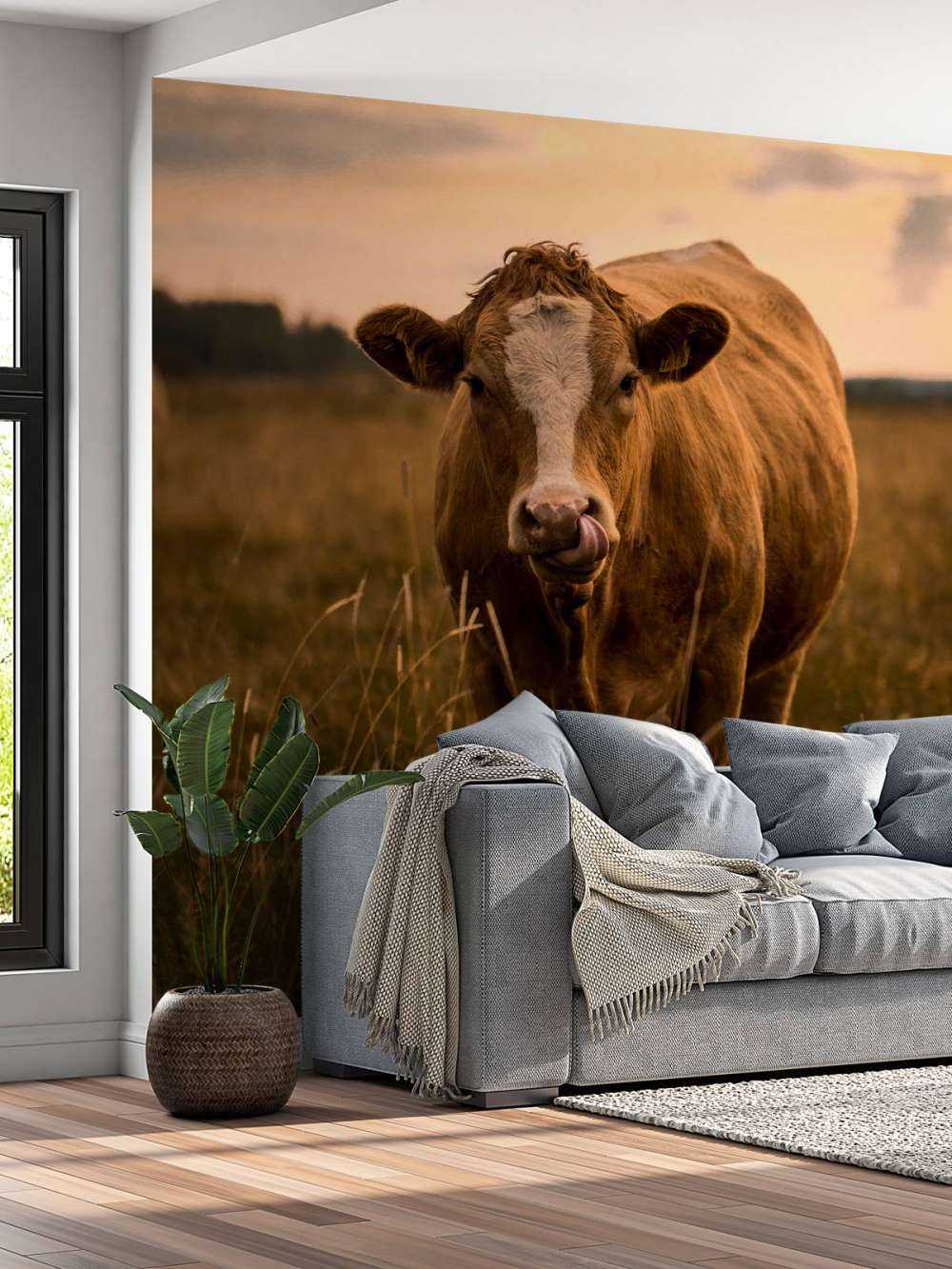 Ko med tungen i næsen