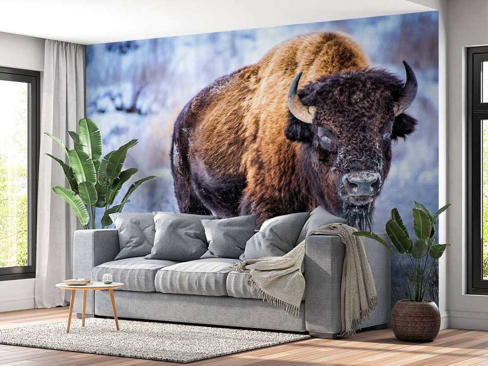 Bison