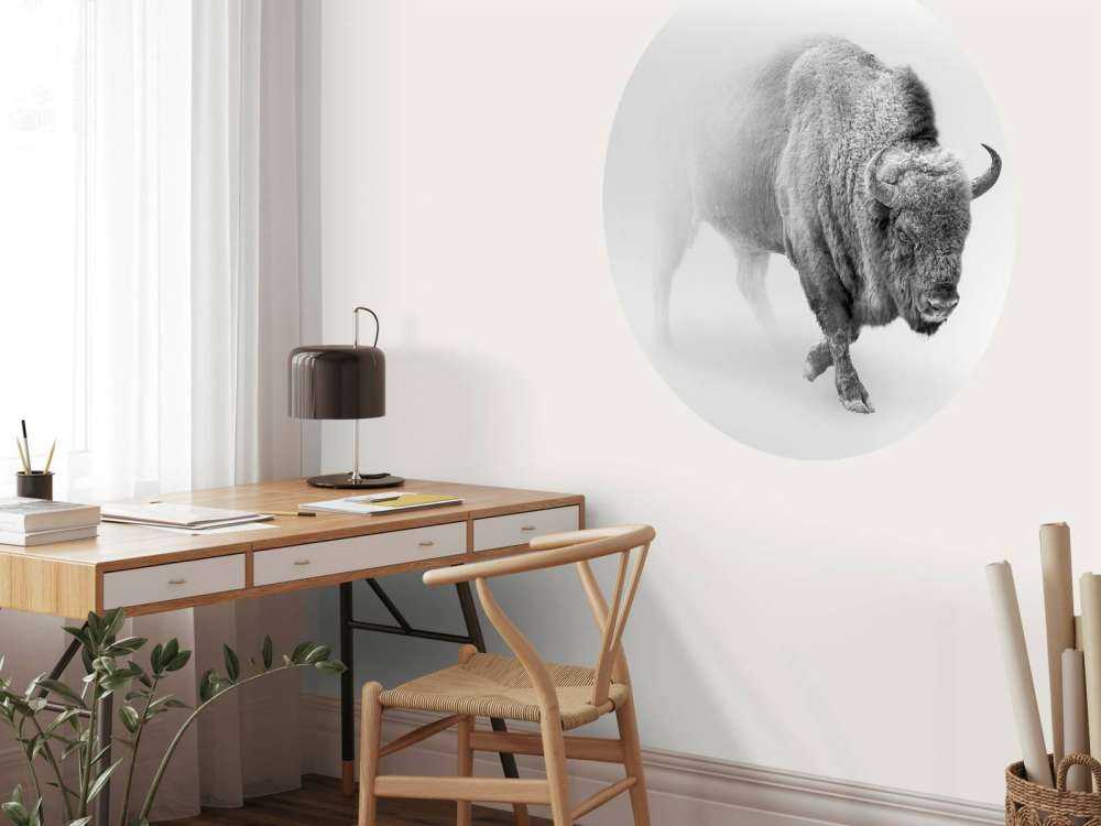 Bison sort, hvid