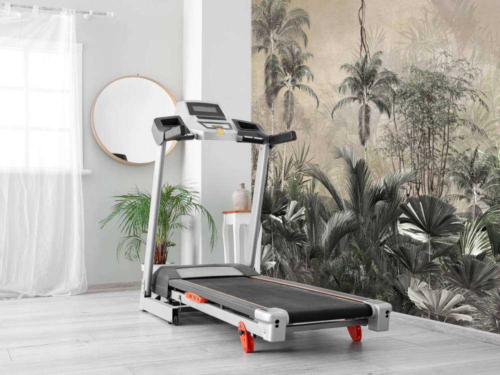 Tropisk skov i tåge