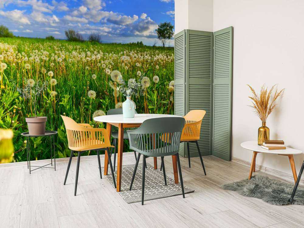 Marker med mælkebøtter