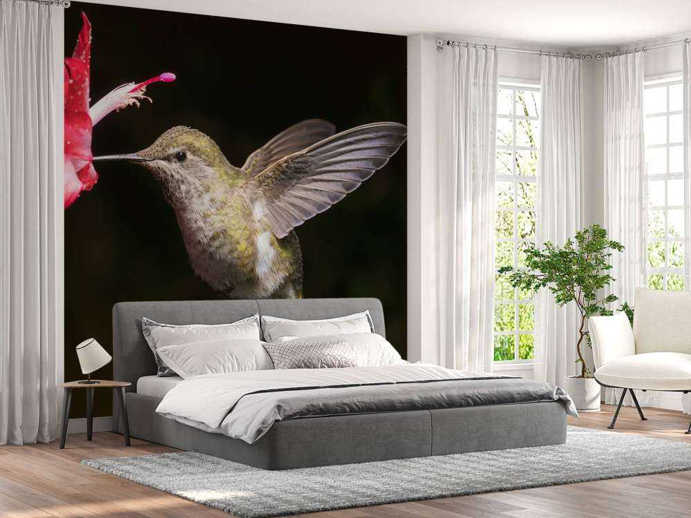 Kolibri med rød blomst
