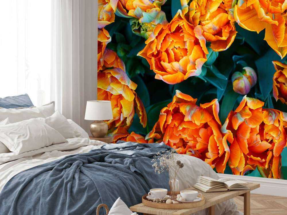 Nærbillede af orange tulipaner