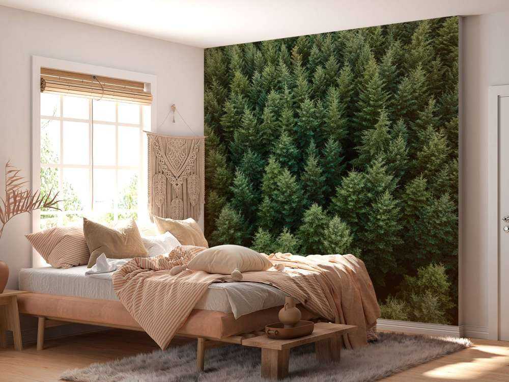 Douglasgran fra oven