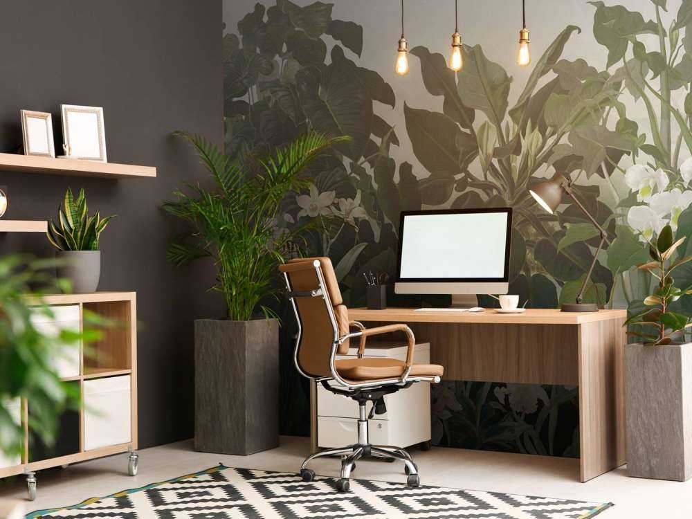 Walking to the Tropic 2