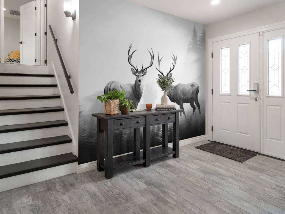 Tågeskovens hjortesymmetri