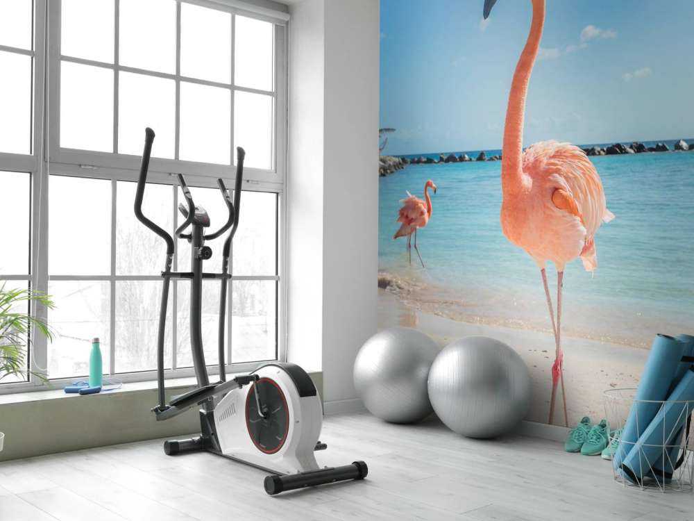 Flamingo på stranden