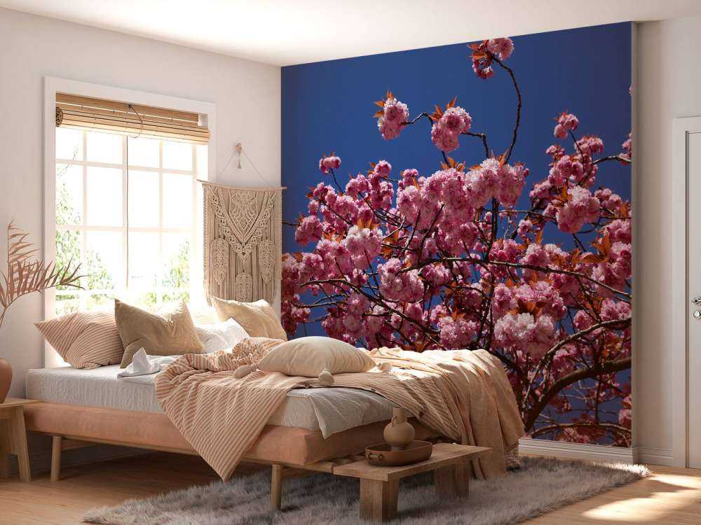 Rosa blomma med blå himmel