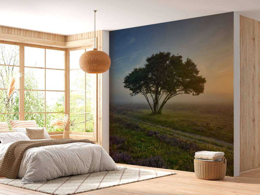 Soluppgång på heden