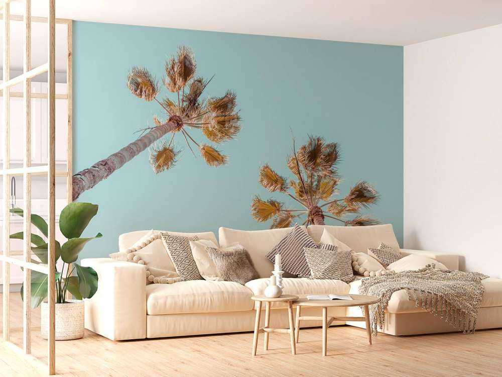 Palmer med blå himmel