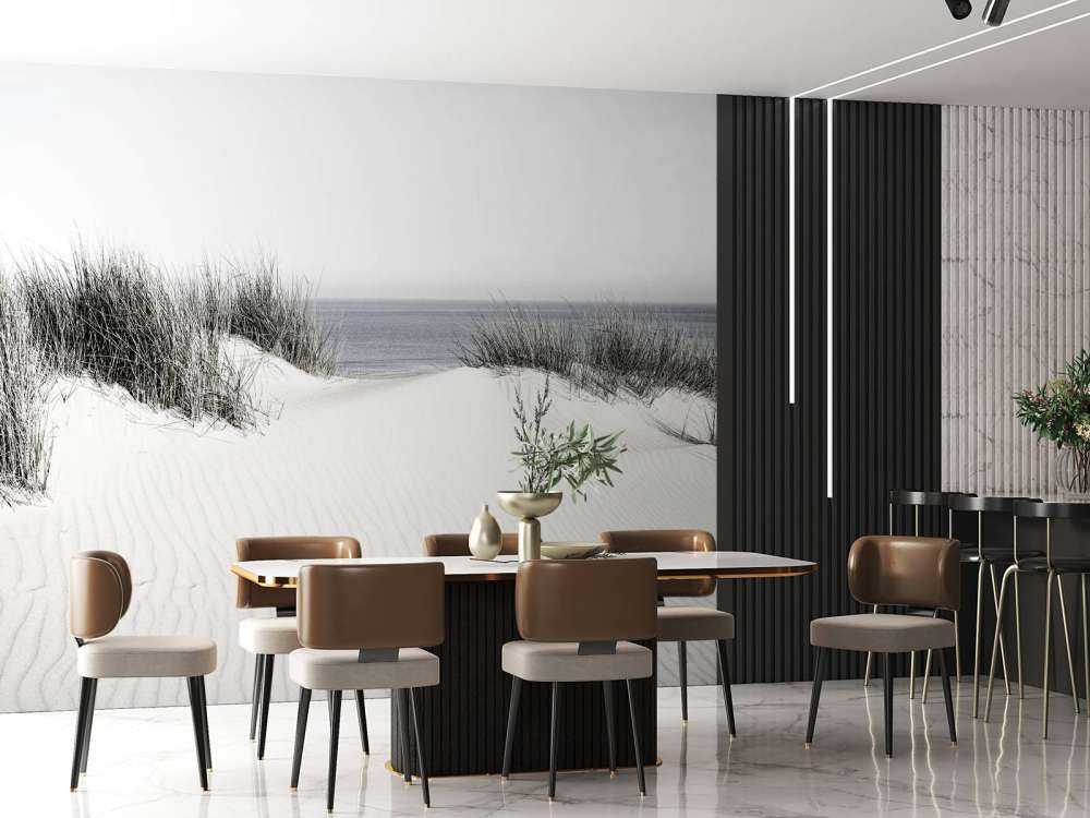 Dynpassage till stranden svart och vit