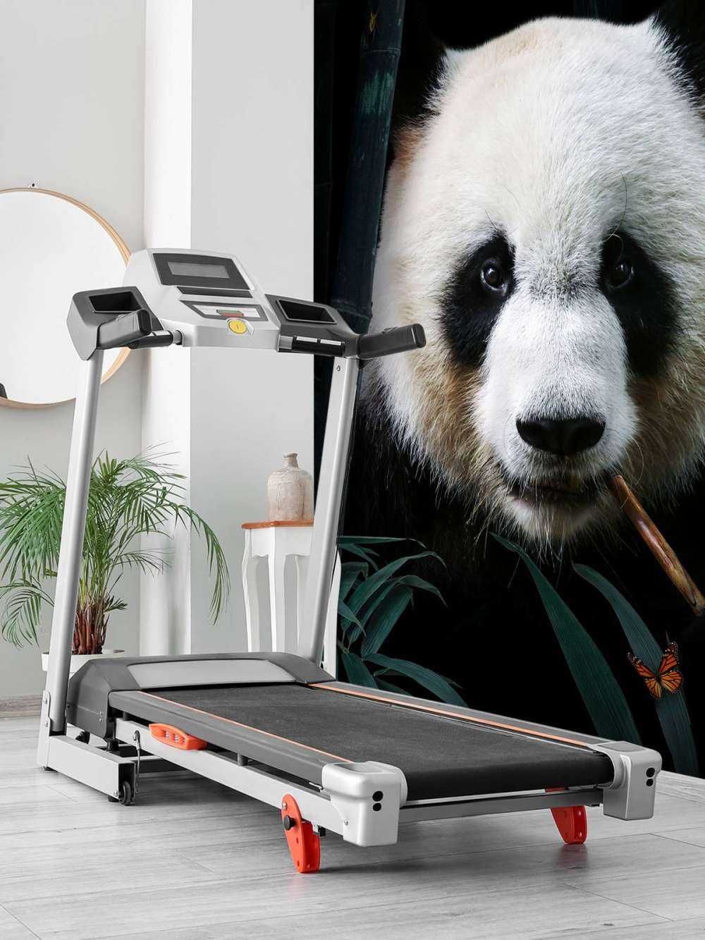 Panda Porträtt