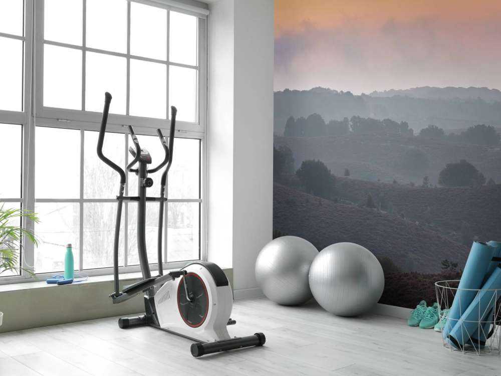 Dimma i soluppgången på heden