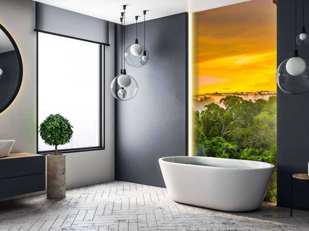 Regnskog i Brasilien