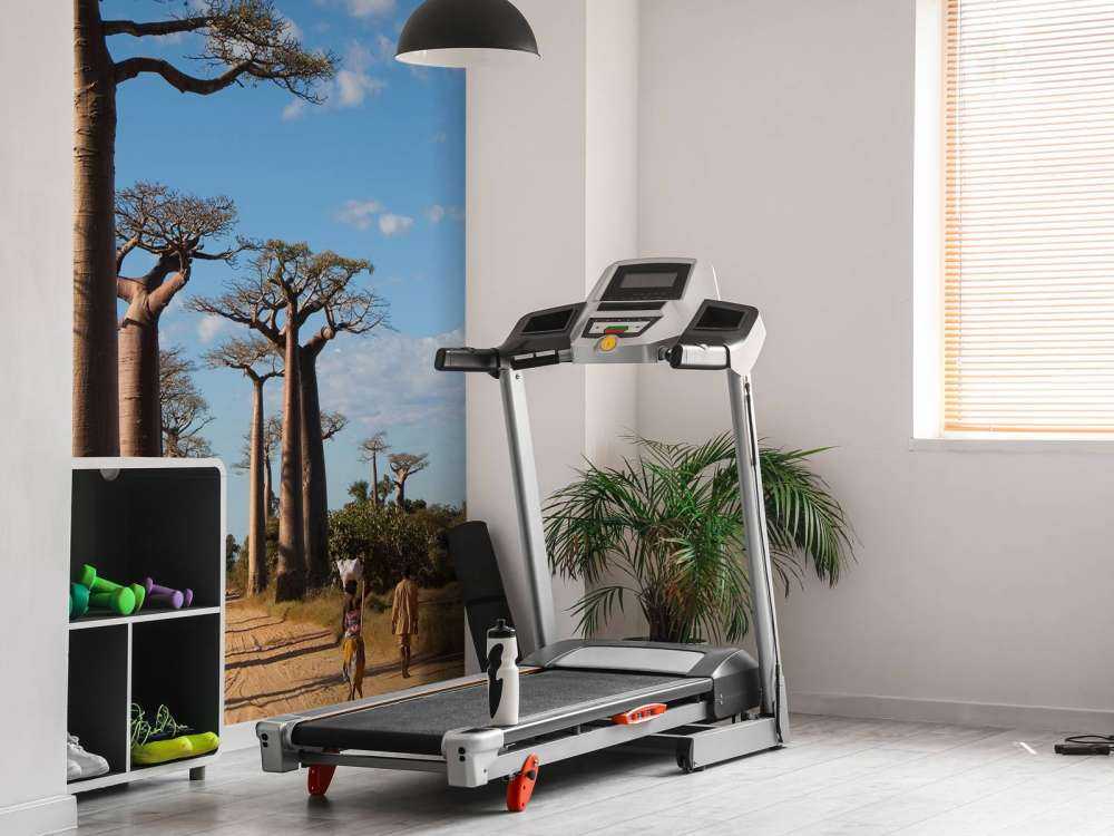 Baobab träd