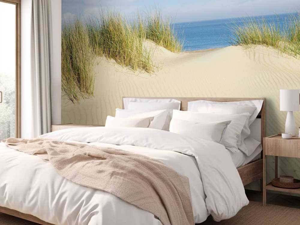 Dune passage till skogen