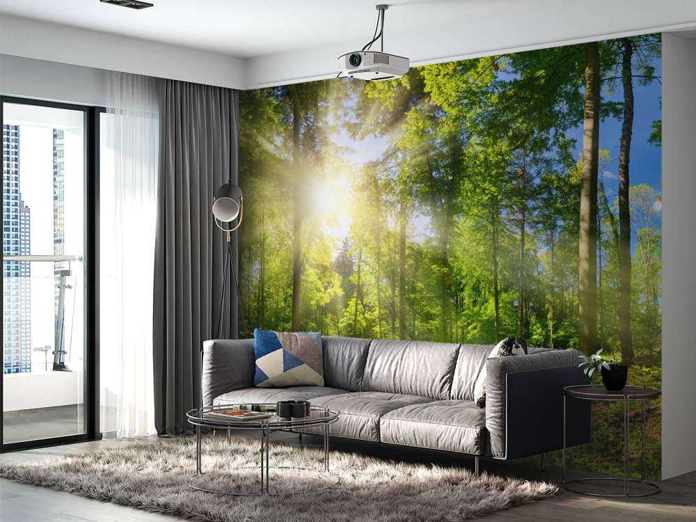 Skog med solstrålar