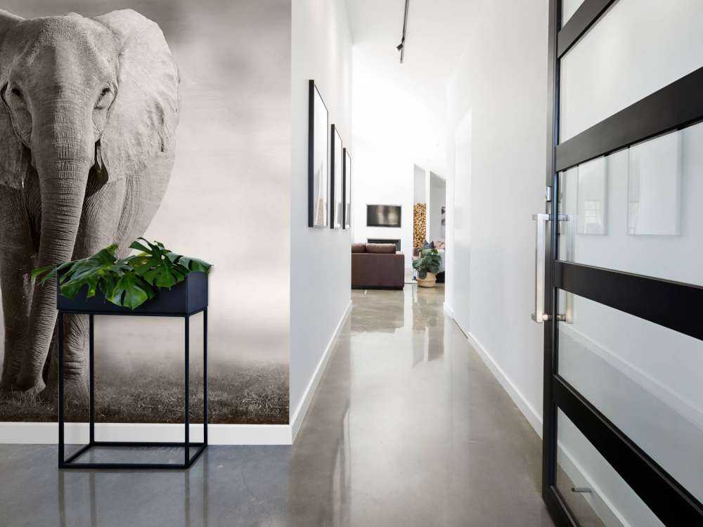 Vacker elefant