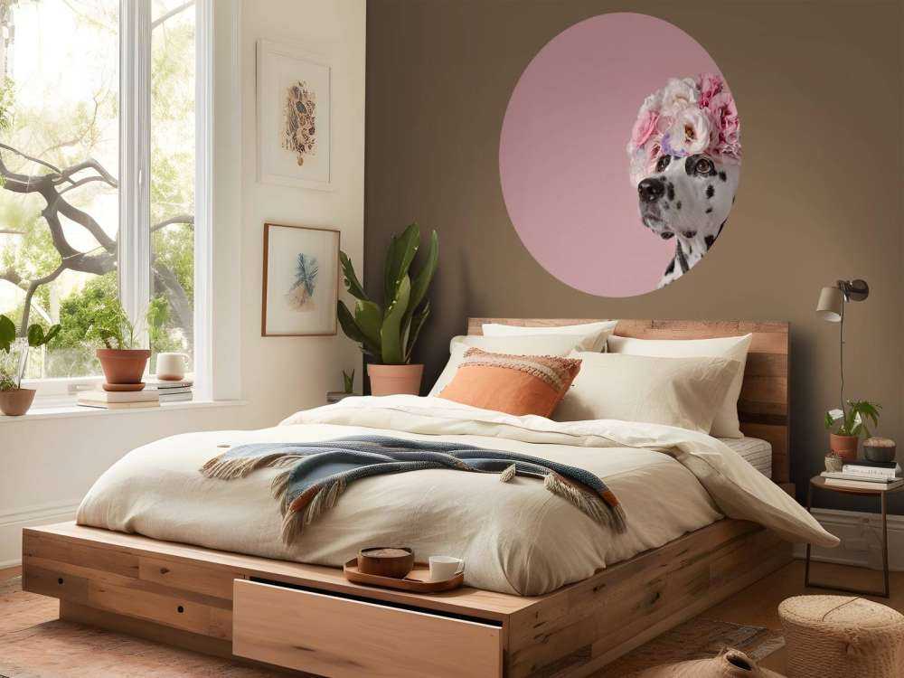 Dalmatinare med färgade blommor