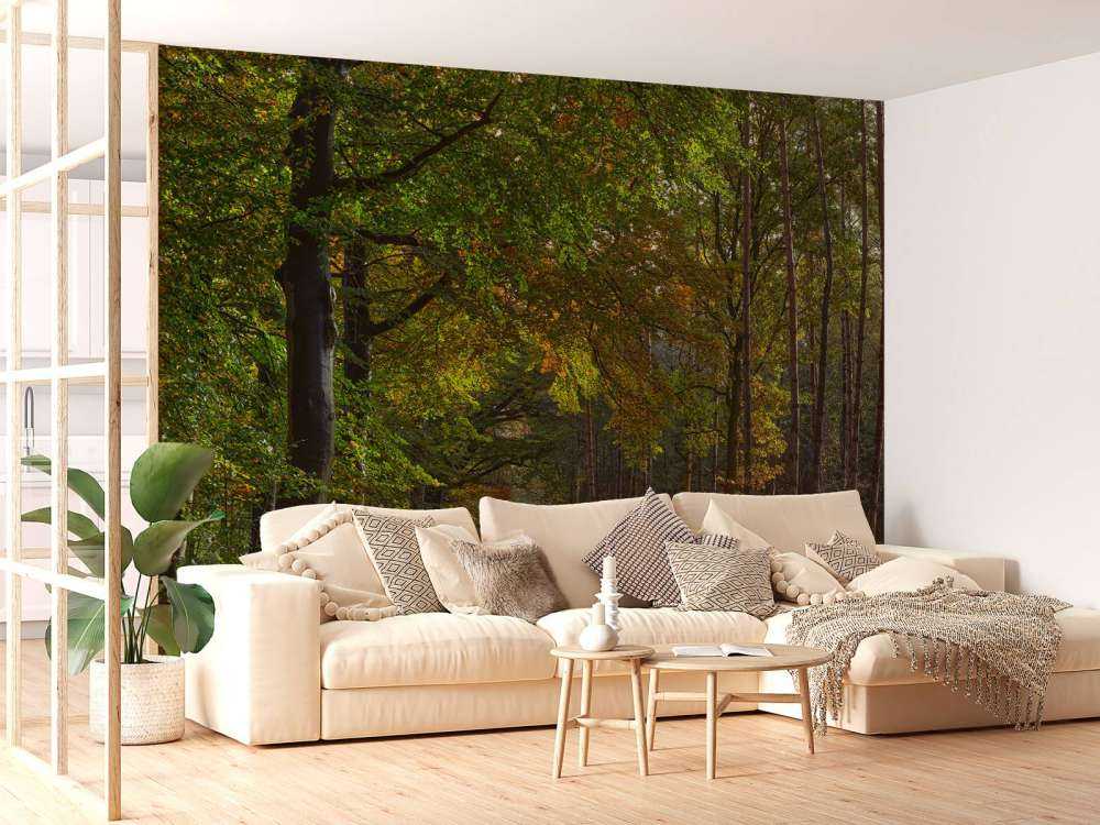 Stigen med löv genom skogen