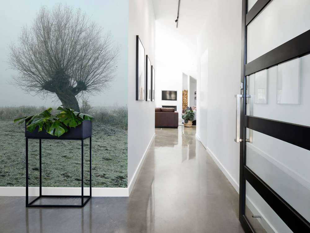 Pollard pilar i dimman