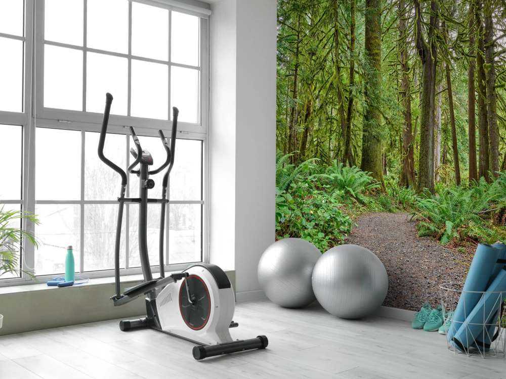 Sti med sten genom skogen