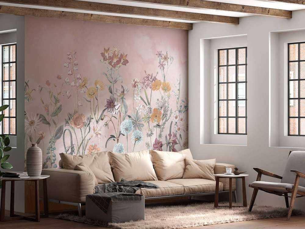 Primula 20