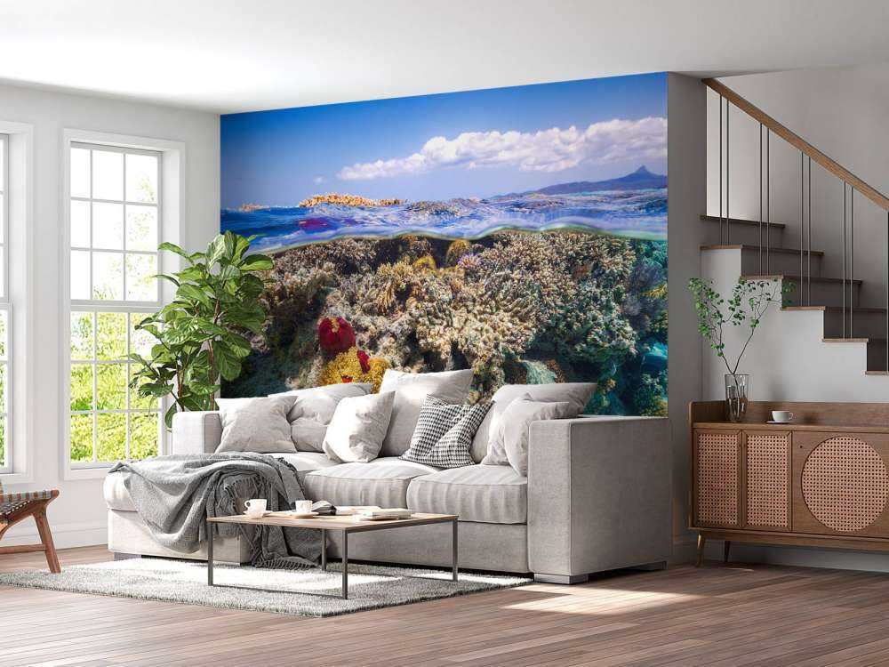 Mayotte : The Reef