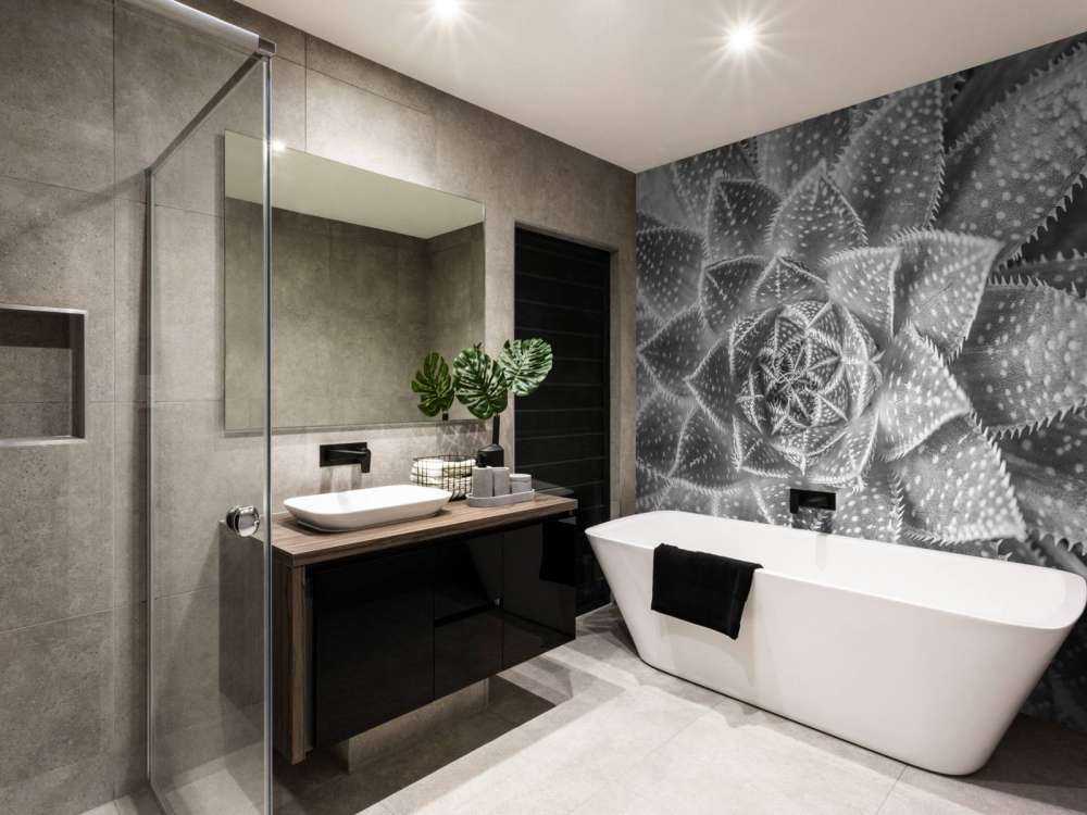 Nærbilde sukkulent plante