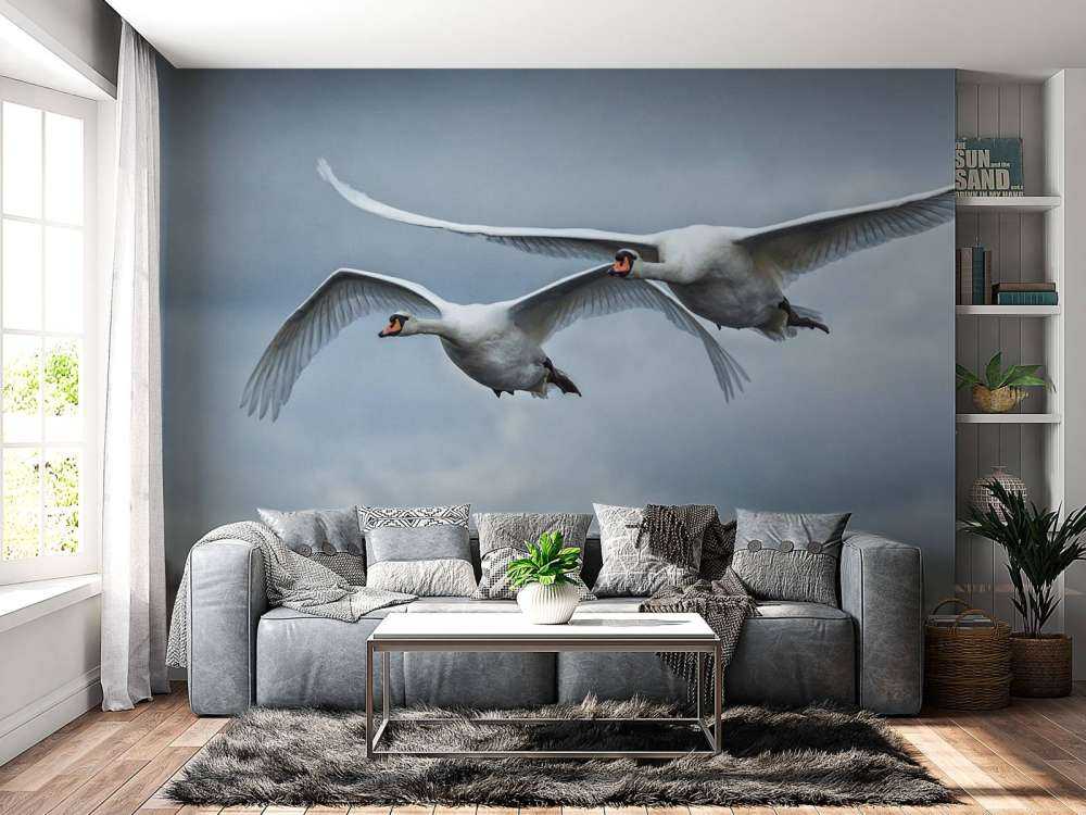 Flygende svaner