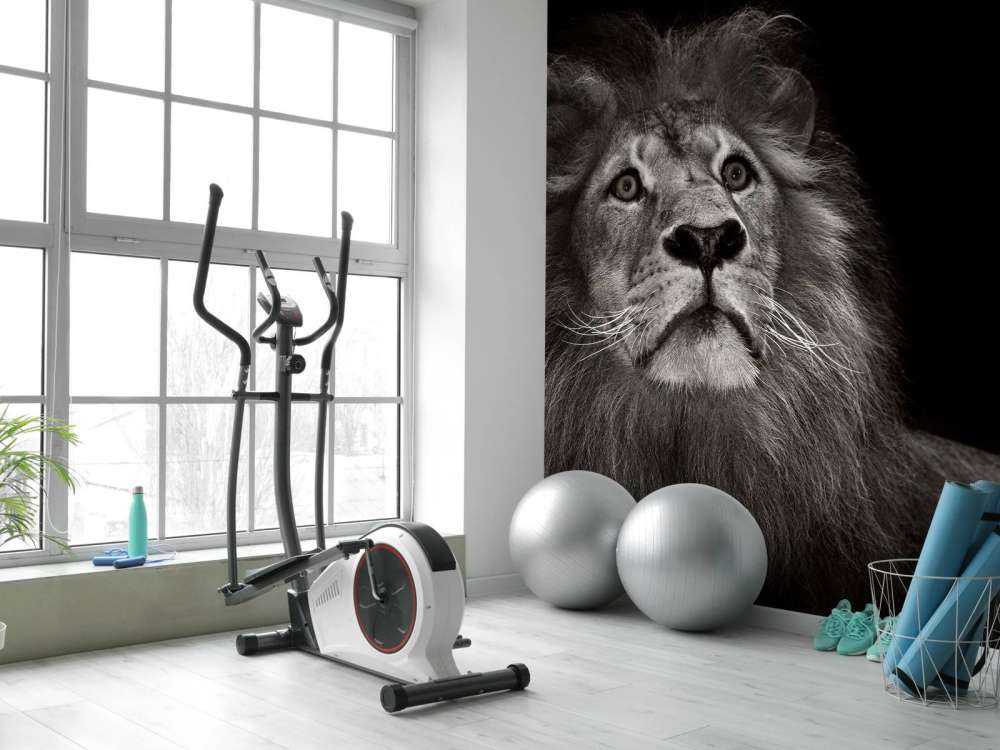 Løve på svart tapet