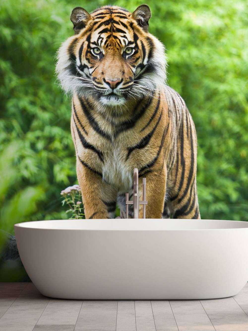 Tiger som står på en stein