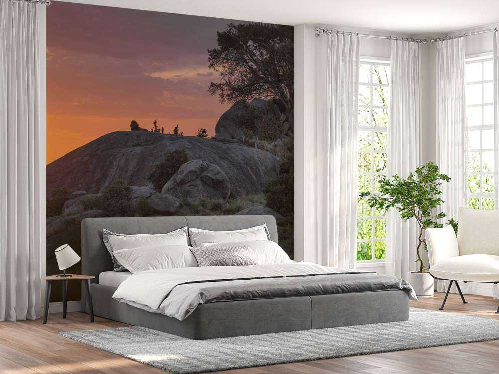 solnedgang over savannen