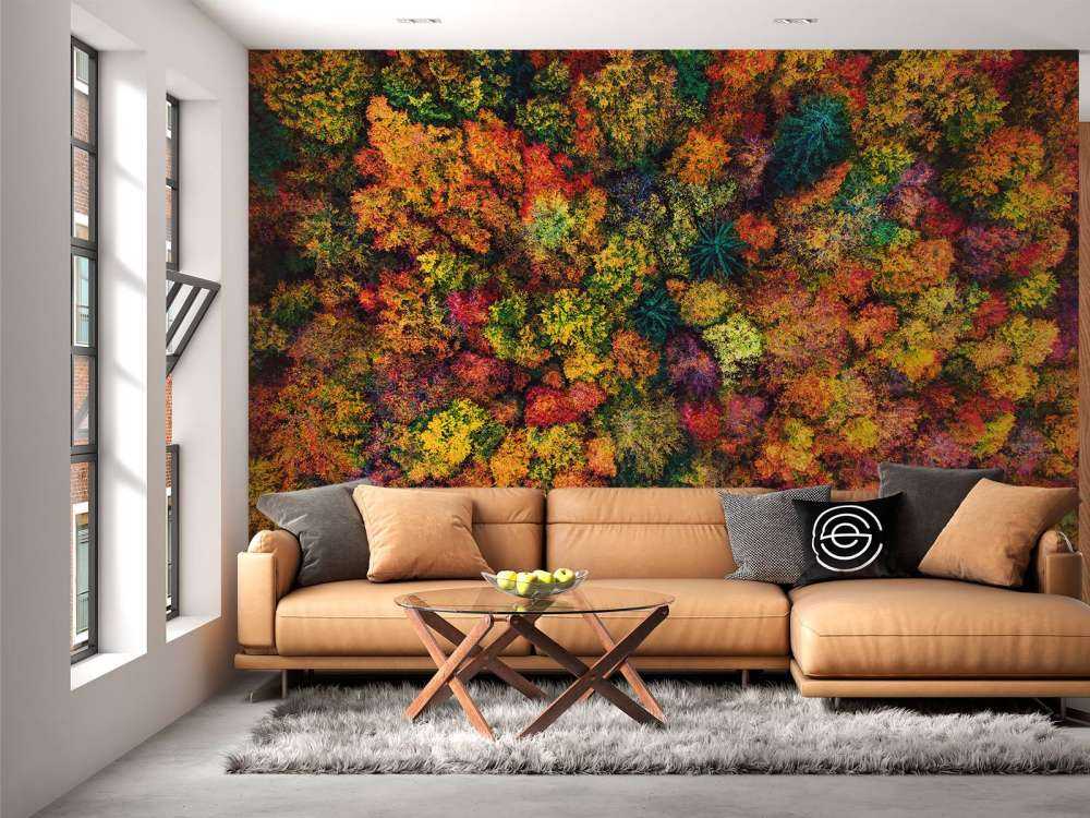 Luftfoto over høstskogen