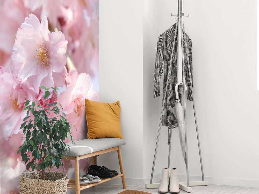 Nærbilde rosa blomster