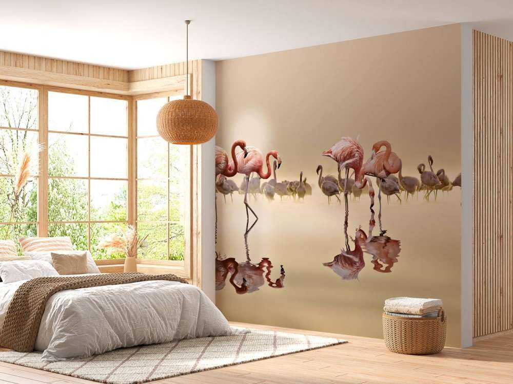 Flamingo Family