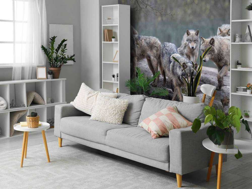 Skogvoktere Skumring