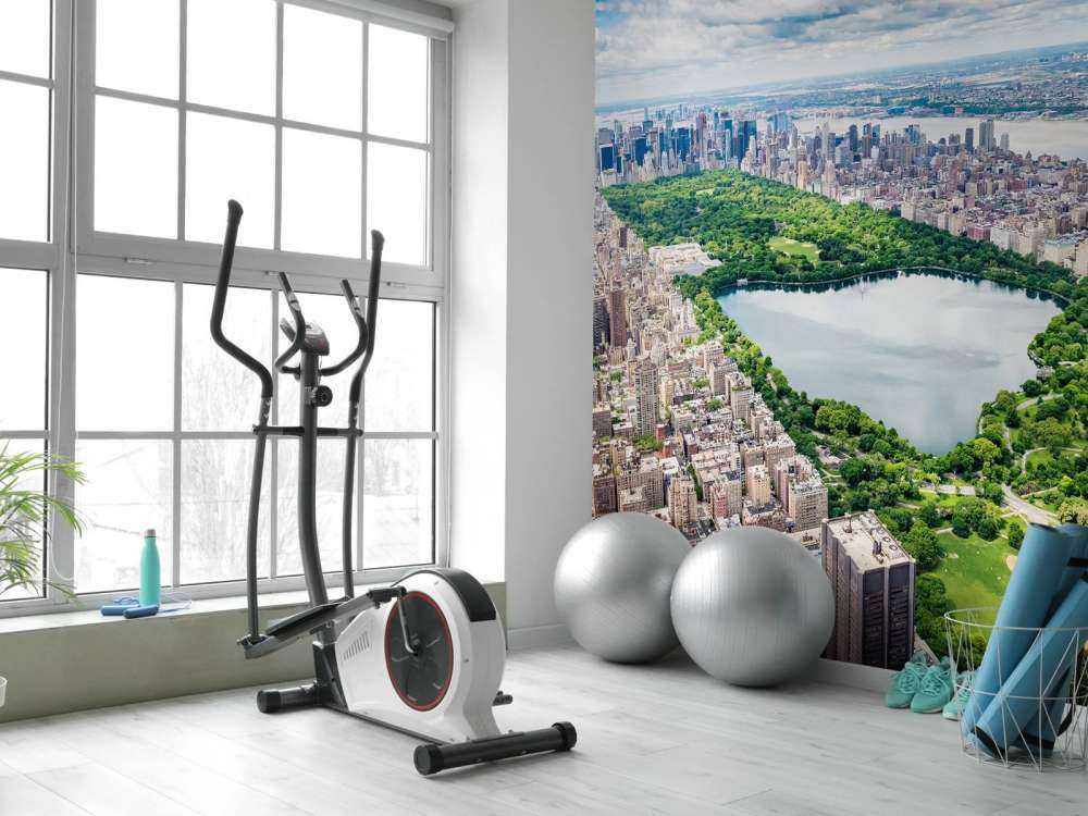 Skyline med Central Park