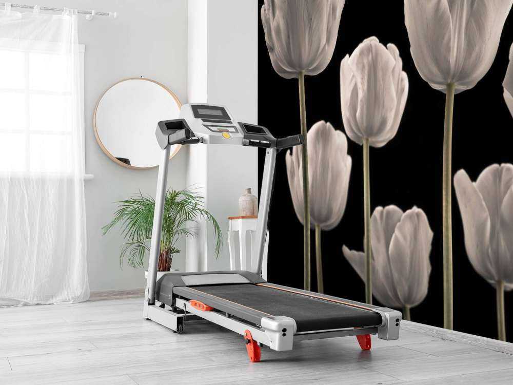 Flere tulipaner