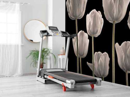 Flere tulipaner
