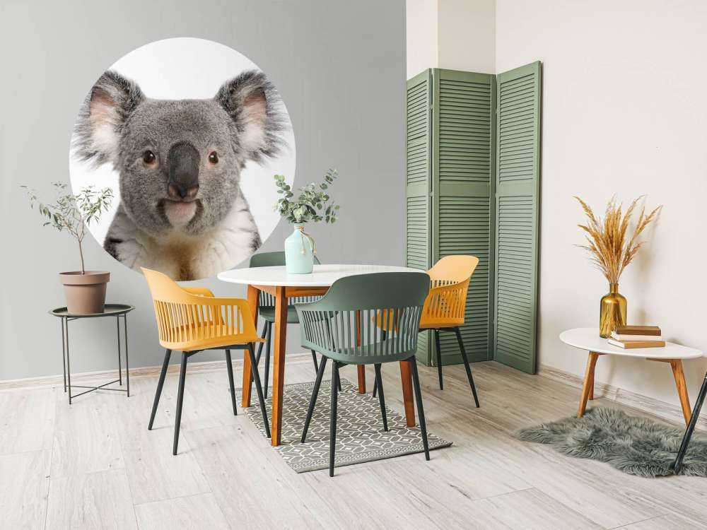 Foto av en koala