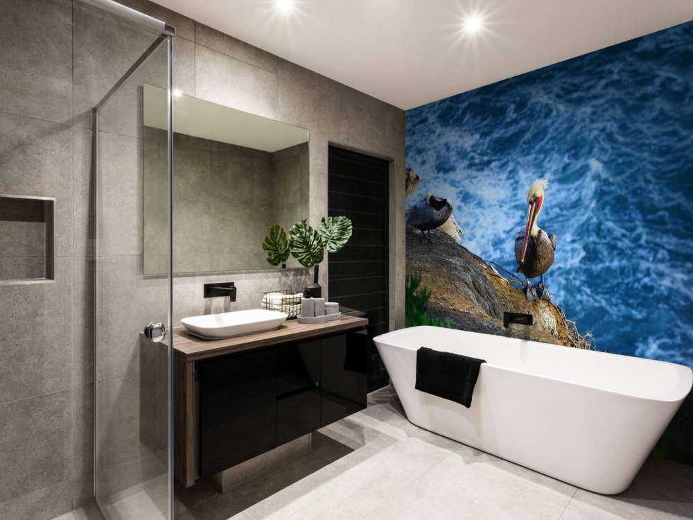 Kaliforniens pelikaner