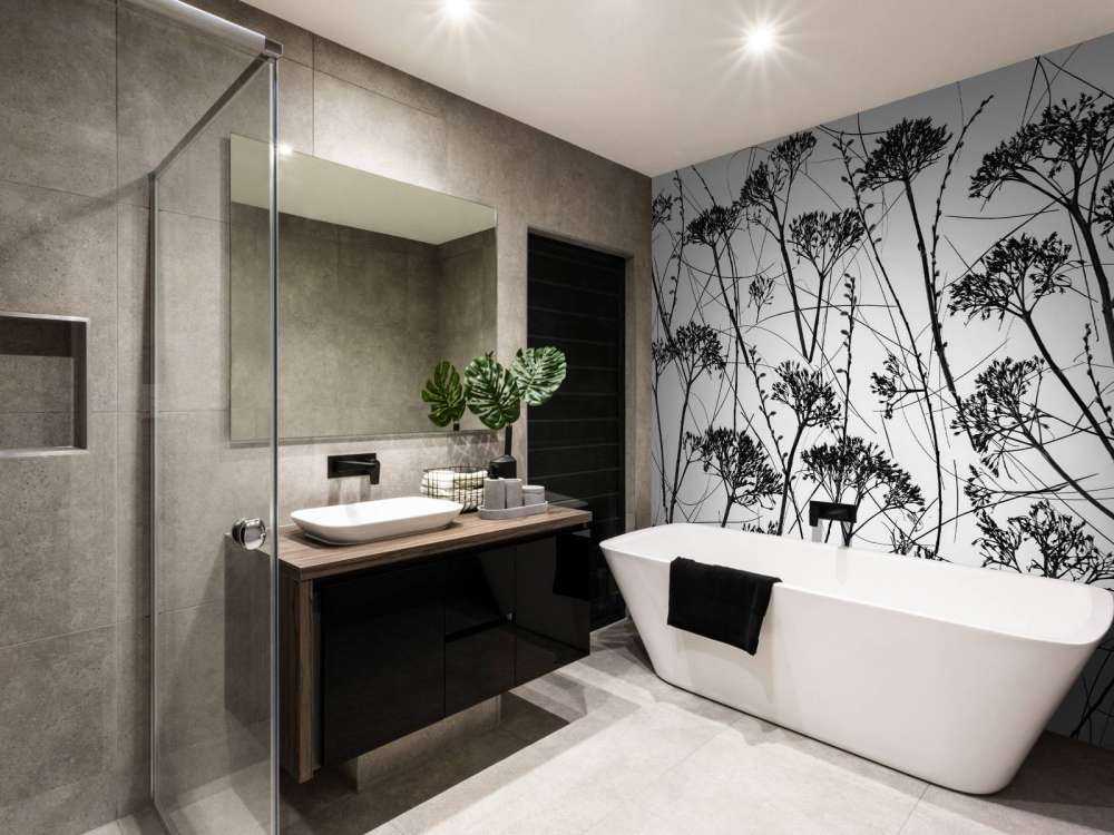 Silhouette of dried plants